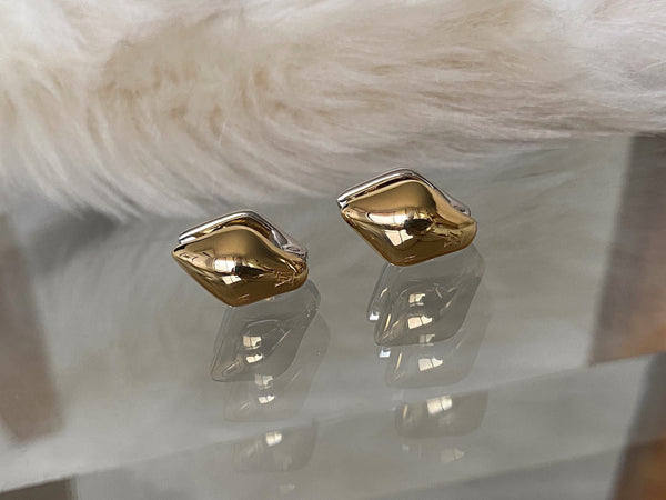 Louis Vuitton Bi-Tone Malletage Nanogram Reversible Earrings