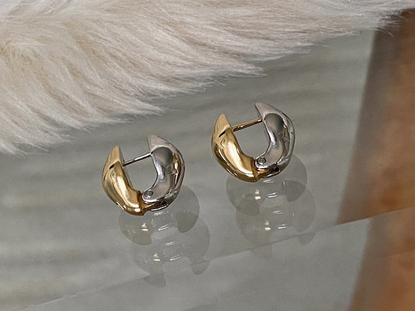 Louis Vuitton Bi-Tone Malletage Nanogram Reversible Earrings