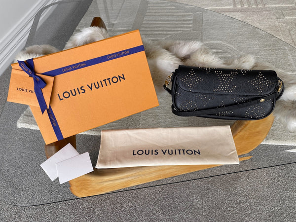 Louis Vuitton 2023 Noir Grained Cowhide Ivy