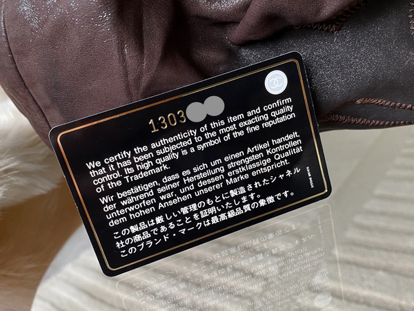 Chanel Iridescent Brown Coated Canvas Stretch Spirit Cabas