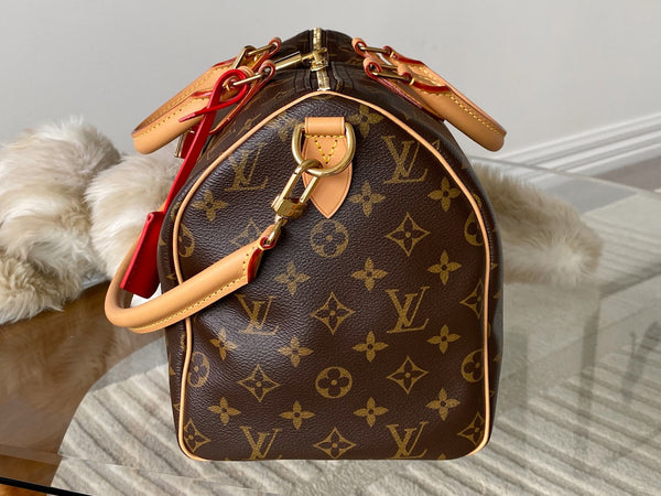 Louis Vuitton 2025 Monogram Speedy Soft 30 Crafty