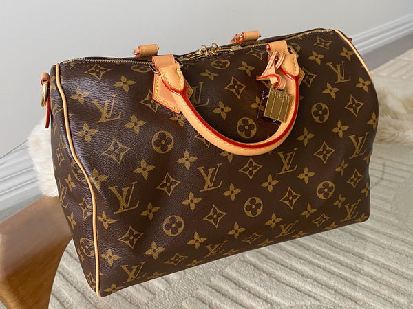 Louis Vuitton 2025 Monogram Speedy Soft 30 Crafty
