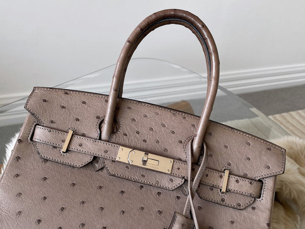 Hermès Mousse Ostrich Birkin 30 PHW