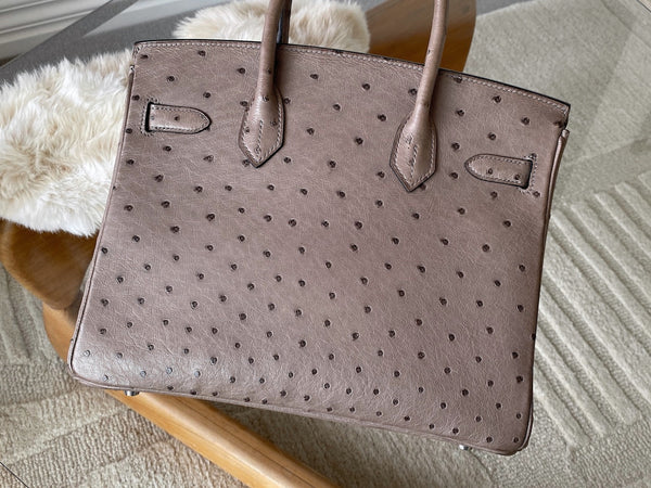 Hermès Mousse Ostrich Birkin 30 PHW