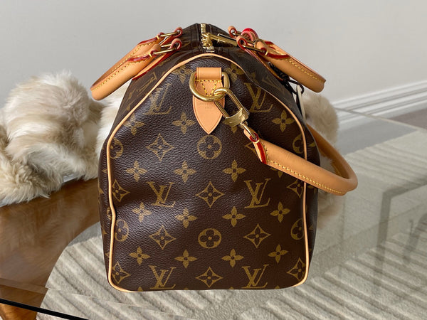Louis Vuitton 2025 Monogram Speedy Soft 30 Crafty