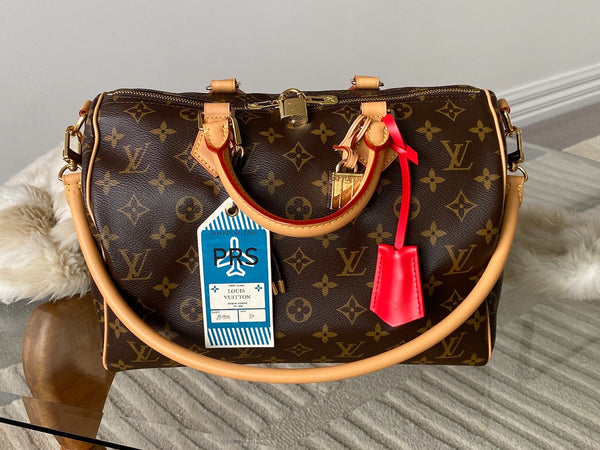 Louis Vuitton 2025 Monogram Speedy Soft 30 Crafty