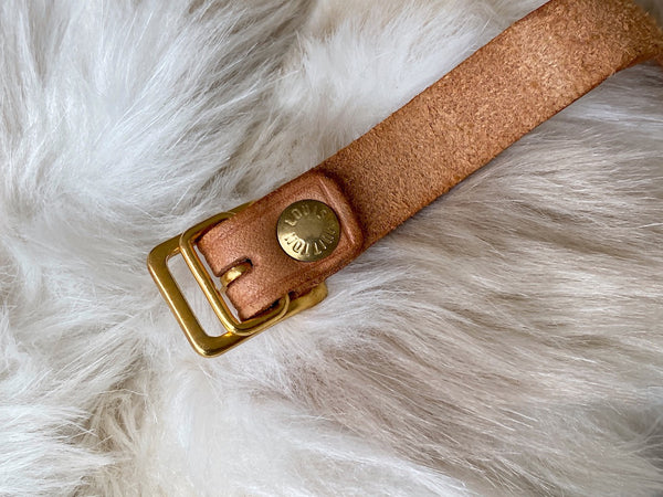 Louis Vuitton Vachetta Luggage Tag