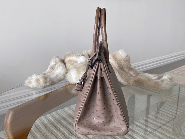Hermès Mousse Ostrich Birkin 30 PHW