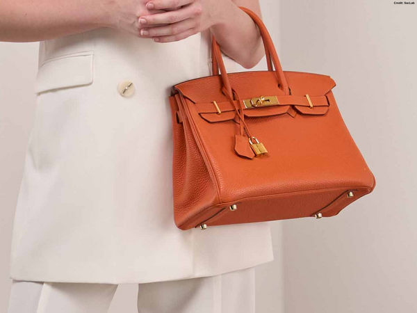 Hermès Orange H Togo Birkin 30 GHW