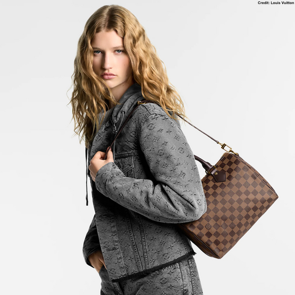 Louis Vuitton Damier Ebene Speedy Bandoulière 25