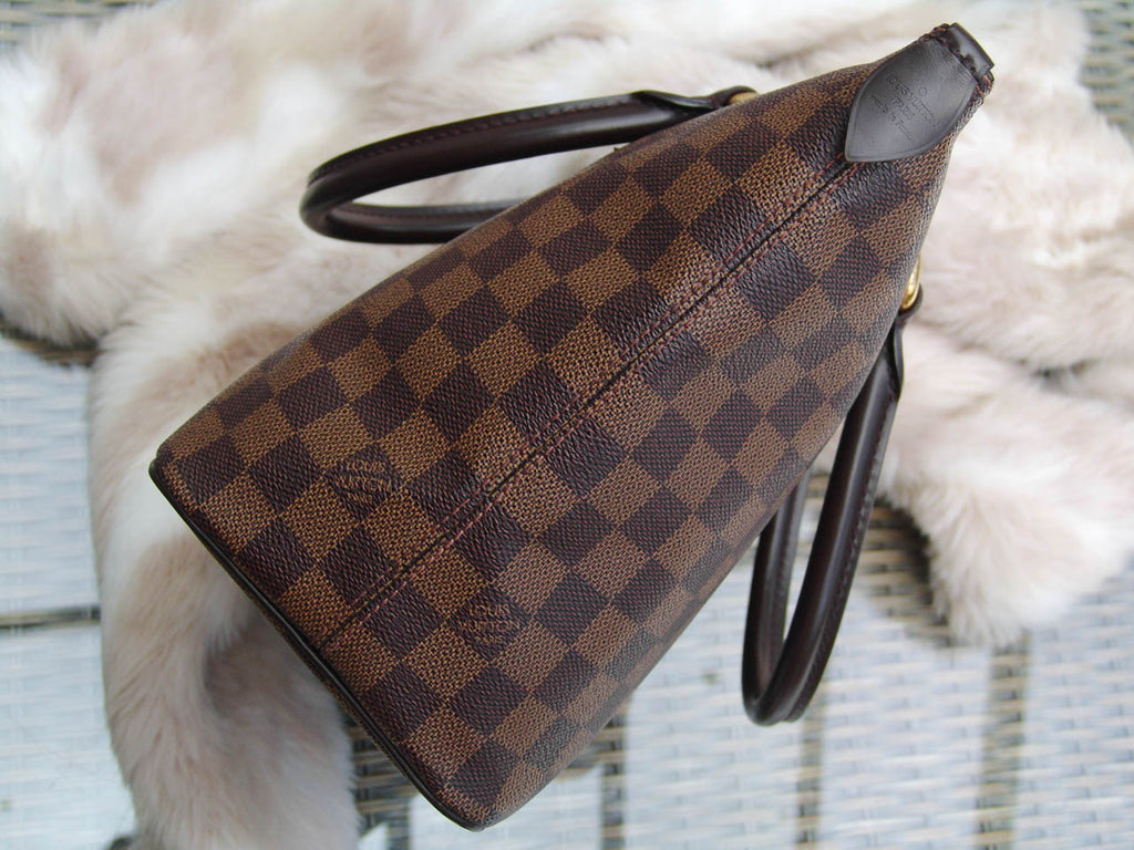 Shop for Louis Vuitton Damier Ebene Canvas Leather Saleya PM Bag