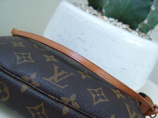 Louis Vuitton Monogram Accessoires Pochette