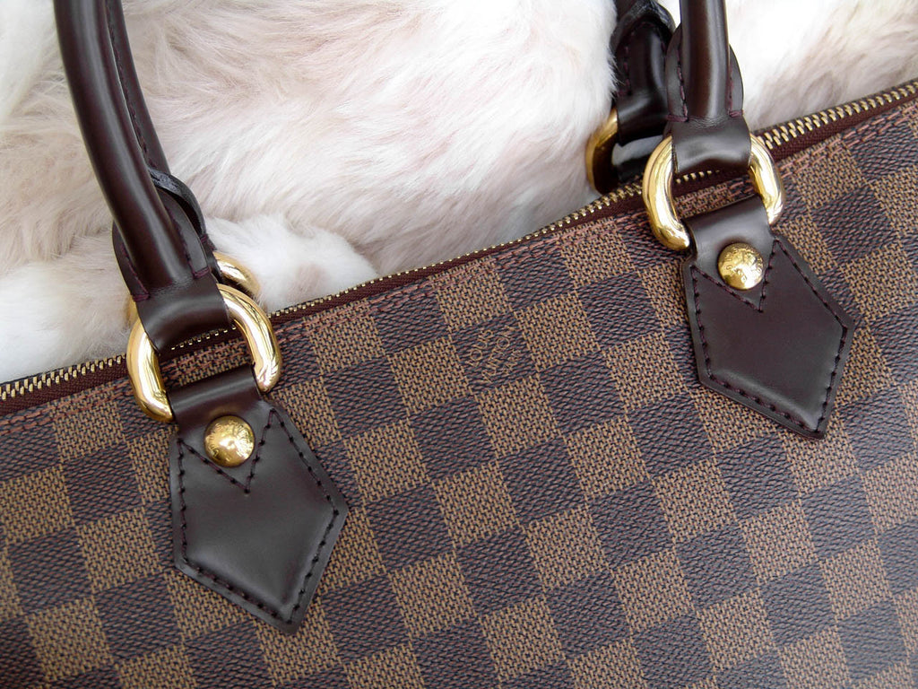 Louis Vuitton, Bags, Authentic Lv Damien Ebene Saleya Pm