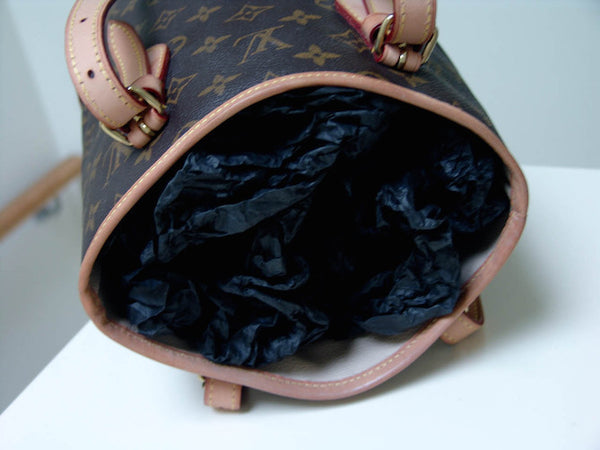 Louis Vuitton Monogram Petit Bucket