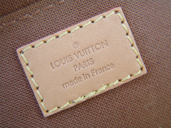 Louis Vuitton 2020 L.E. Monogram Petit Sac Plat